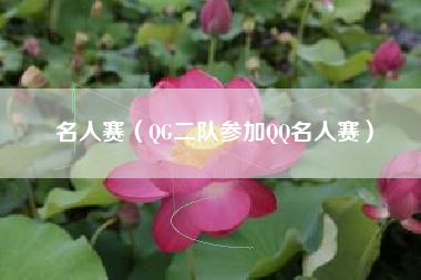 名人赛（QG二队参加QQ名人赛）