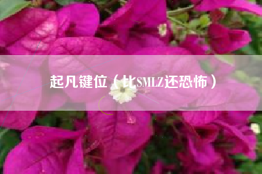 起凡键位（比SMLZ还恐怖）