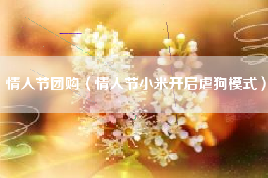 情人节团购（情人节小米开启虐狗模式）