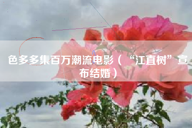 色多多集百万潮流电影（“江直树”宣布结婚）