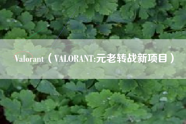 Valorant（VALORANT:元老转战新项目）