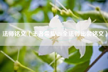 法师铭文（王者荣耀s20全法师出装铭文）