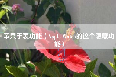 苹果手表功能（Apple Watch的这个隐藏功能）