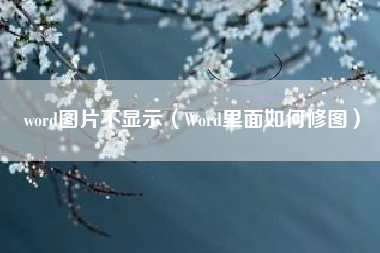 word图片不显示（Word里面如何修图）