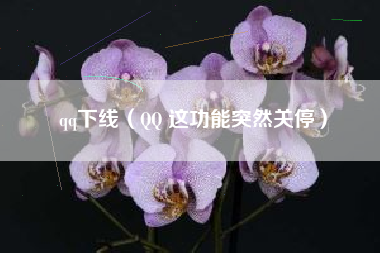 qq下线（QQ 这功能突然关停）