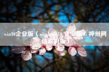 win10企业版（windows 10 企业版 G 神州网信政府版）