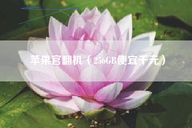 苹果官翻机（256GB便宜千元）