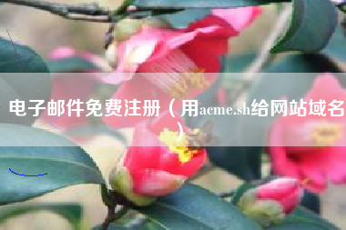 电子邮件免费注册（用acme.sh给网站域名）