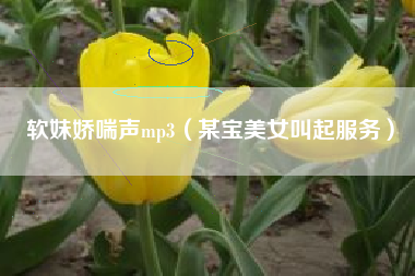 软妹娇喘声mp3（某宝美女叫起服务）