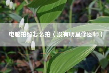 电脑拍照怎么拍（没有明星修图师）