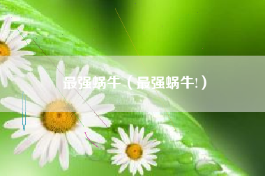 最强蜗牛（最强蜗牛!）