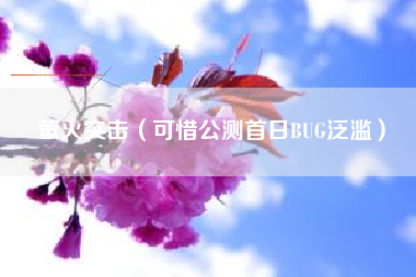 萤火突击（可惜公测首日BUG泛滥）