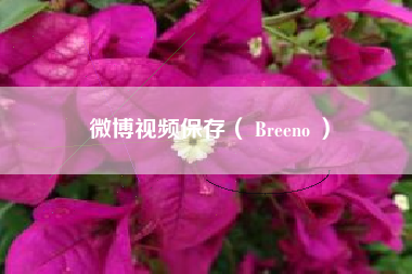 微博视频保存（ Breeno ）