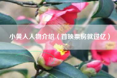 小黄人人物介绍（首映票房就过亿）