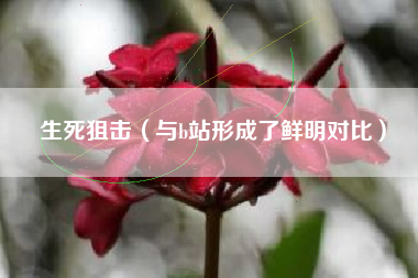 生死狙击（与b站形成了鲜明对比）