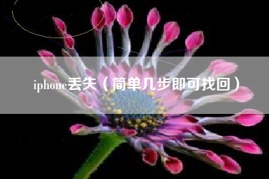 iphone丢失（简单几步即可找回）