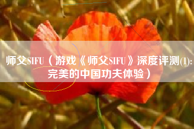 师父SIFU（游戏《师父SIFU》深度评测(1):完美的中国功夫体验）