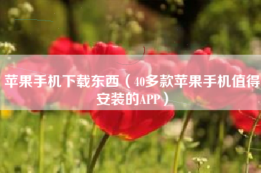 苹果手机下载东西（40多款苹果手机值得安装的APP）