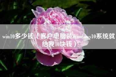 win10多少钱（客户电脑装Windows10系统就给我10块钱）