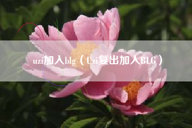 uzi加入blg（Uzi复出加入BLG）