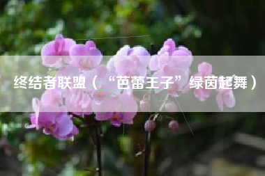 终结者联盟（“芭蕾王子”绿茵起舞）