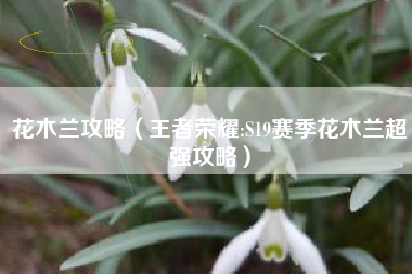 花木兰攻略（王者荣耀:S19赛季花木兰超强攻略）