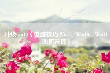 升级win10（电脑技巧:Win7、Win10、Win11如何选择）