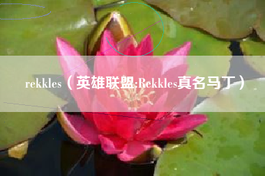 rekkles（英雄联盟:Rekkles真名马丁）