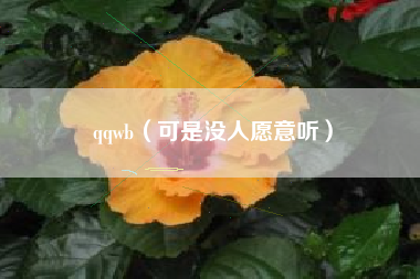 qqwb（可是没人愿意听）