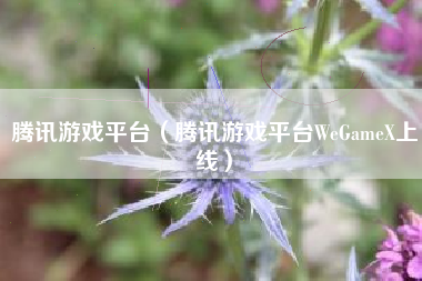 腾讯游戏平台（腾讯游戏平台WeGameX上线）