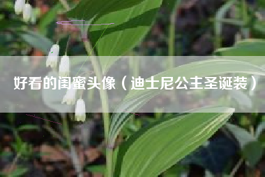 好看的闺蜜头像（迪士尼公主圣诞装）