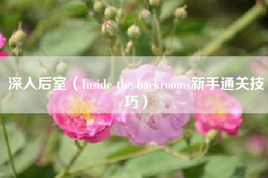 深入后室（Inside the backrooms新手通关技巧）