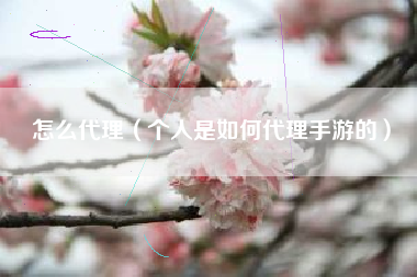 怎么代理（个人是如何代理手游的）