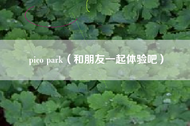 pico park（和朋友一起体验吧）