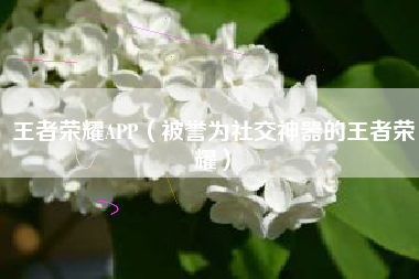 王者荣耀APP（被誉为社交神器的王者荣耀）