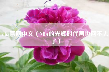 nba官网中文（NBA的光辉时代再也回不去了）