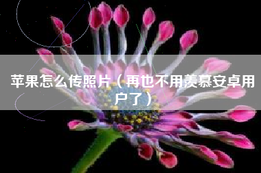 苹果怎么传照片（再也不用羡慕安卓用户了）