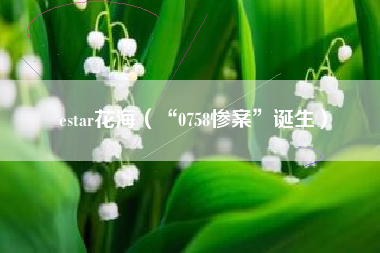 estar花海（“0758惨案”诞生）