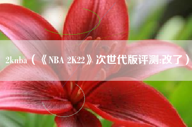 2knba（《NBA 2K22》次世代版评测:改了）