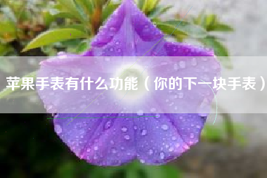 苹果手表有什么功能（你的下一块手表）