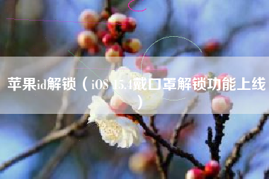 苹果id解锁（iOS 15.4戴口罩解锁功能上线）