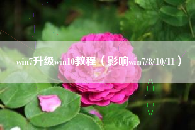 win7升级win10教程（影响win7/8/10/11）