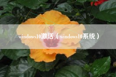 windows10激活（windows10系统）