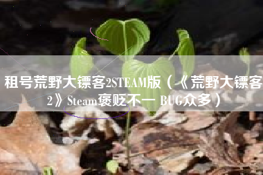 租号荒野大镖客2STEAM版（《荒野大镖客2》Steam褒贬不一 BUG众多）