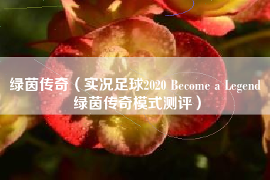 绿茵传奇（实况足球2020 Become a Legend 绿茵传奇模式测评）