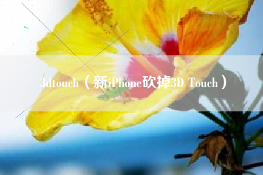 3dtouch（新iPhone砍掉3D Touch）