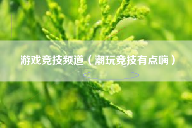 游戏竞技频道（潮玩竞技有点嗨）