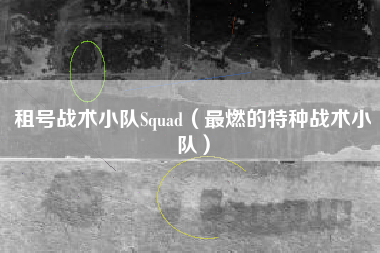 租号战术小队Squad（最燃的特种战术小队）