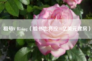 租号V Rising（脸书也将投10亿美元建房）