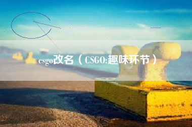 csgo改名（CSGO:趣味环节）